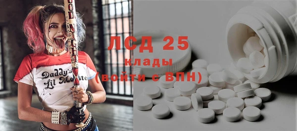 сатива Гусиноозёрск