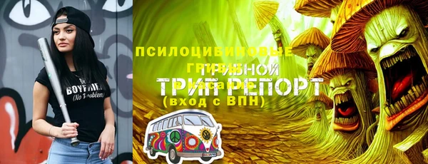 соль курить ск Гусь-Хрустальный