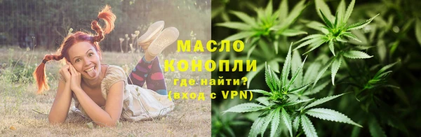сатива Гусиноозёрск