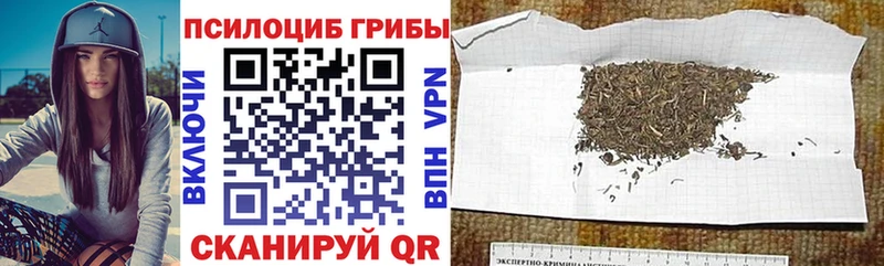 mega ССЫЛКА  Меленки  Псилоцибиновые грибы Psilocybine cubensis 
